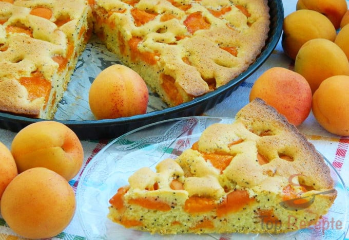 Mohn-Aprikosen-Kuchen