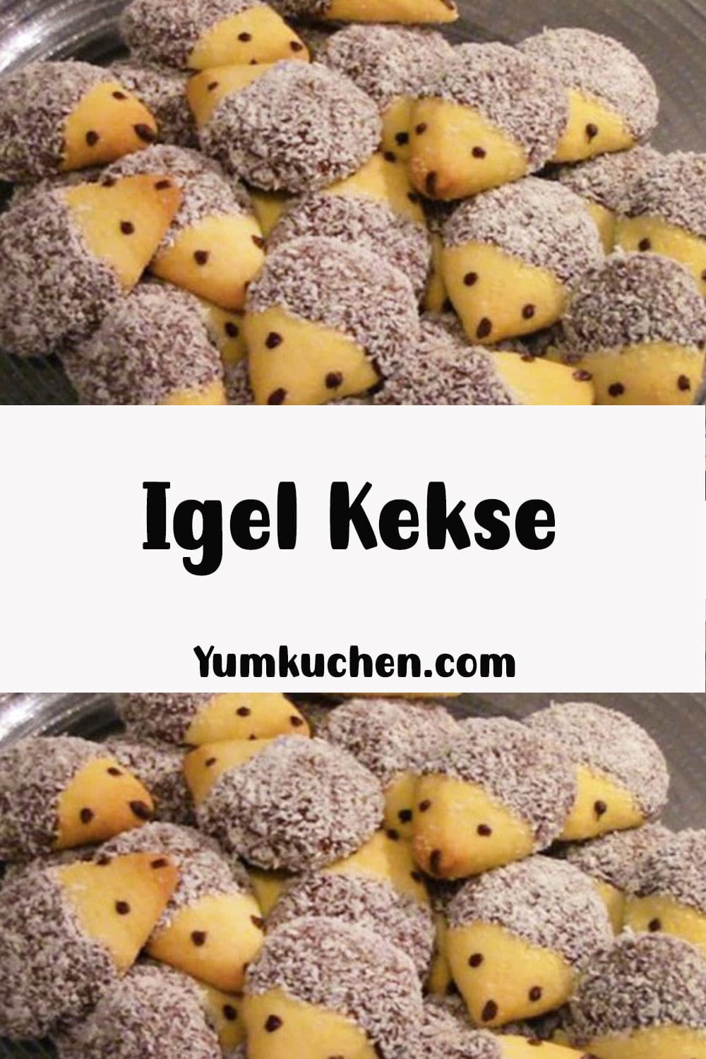 Igel Kekse