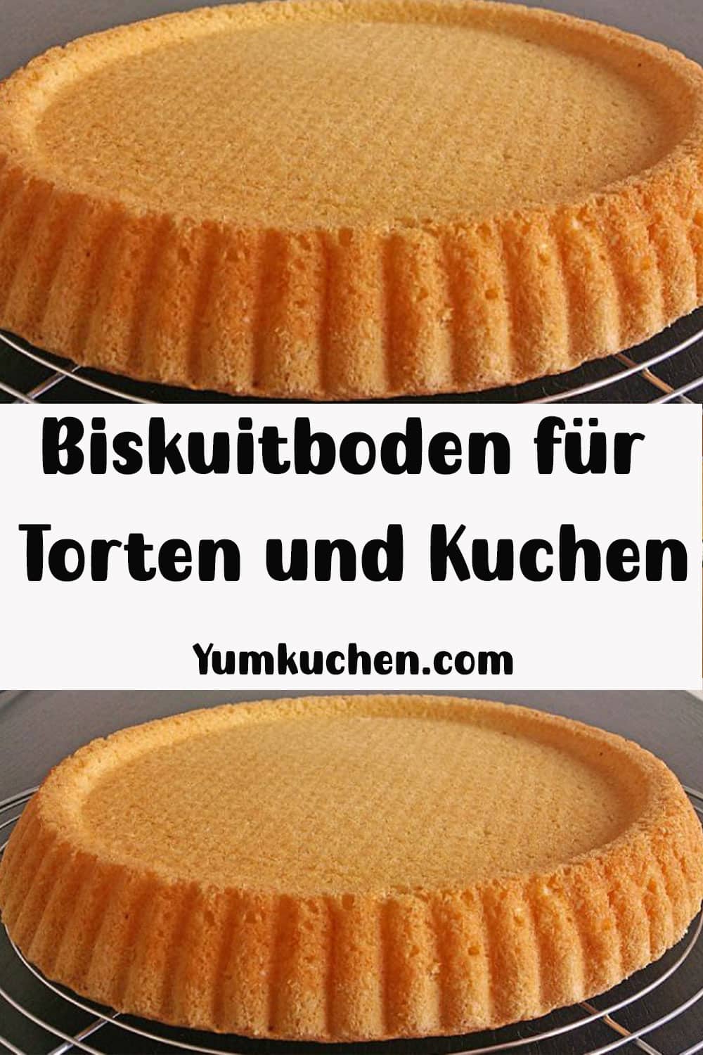 Biskuitboden für Torten und Kuchen