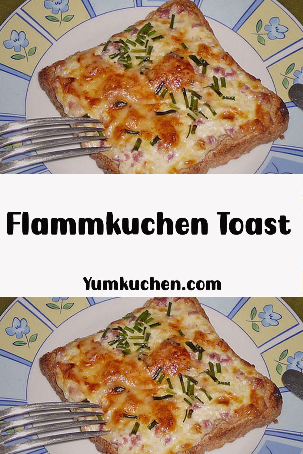 Flammkuchen Toast