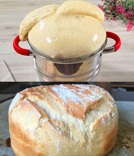 Mein Mann will kein gekauftes Brot mehr essen, Brot ohne Kneten