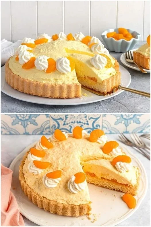 Schüttelkuchen mit Mandarine