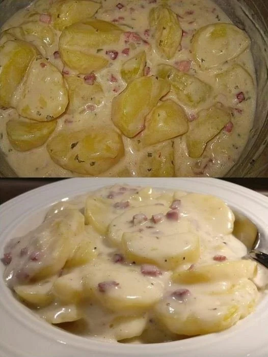 Bechamel - Kartoffeln