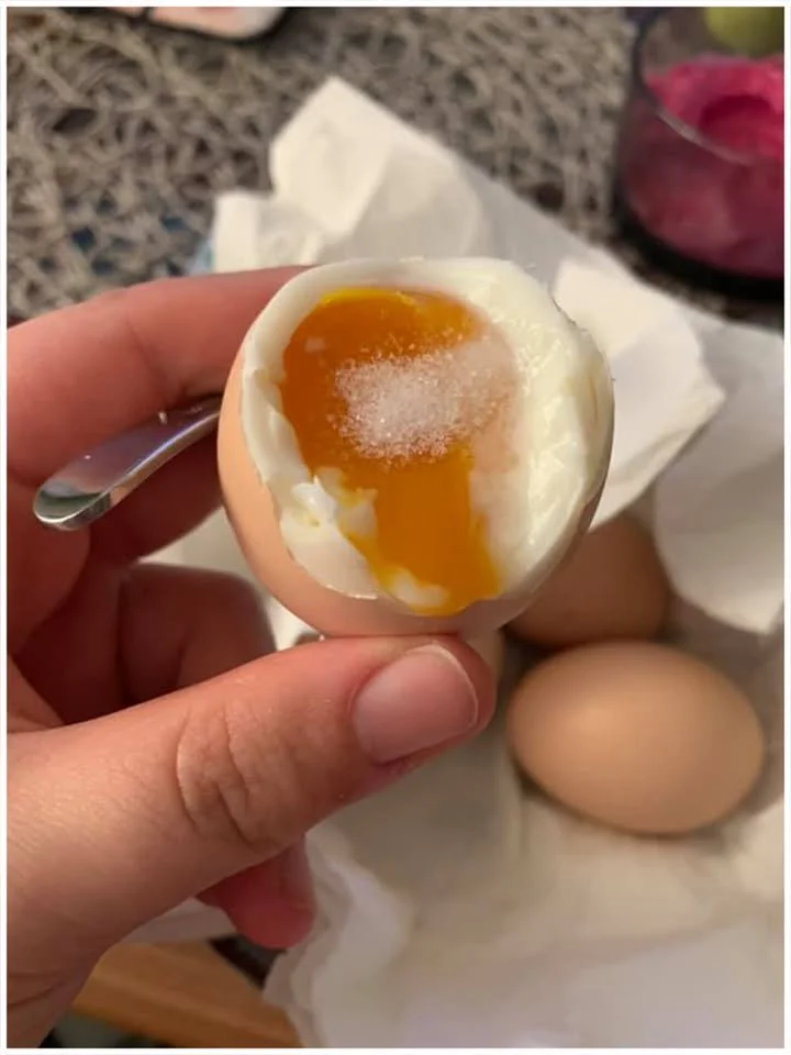 Frische Hühnereier aus nachhaltiger Landwirtschaft