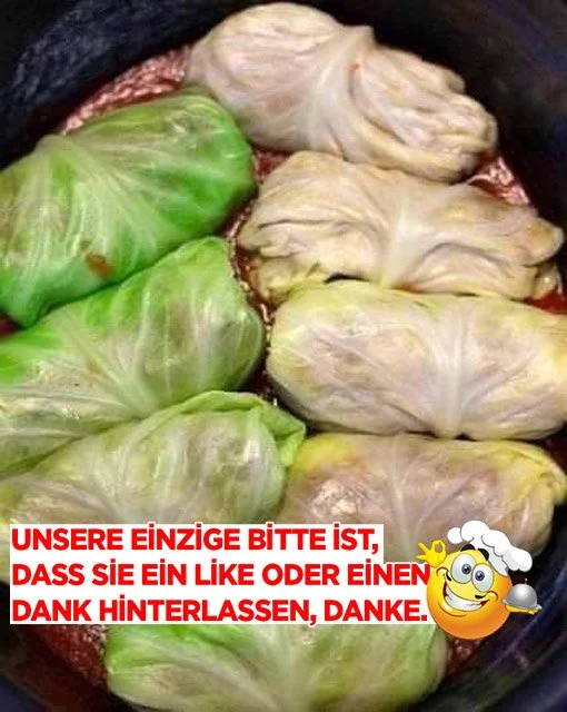 Kohlrouladen mit herzhaftem Füllung aus Fleisch und Reis serviert auf einem Teller