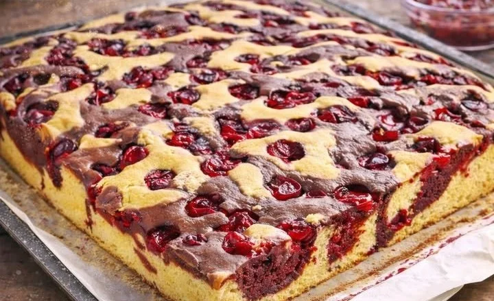 Schoko Kirsch Blechkuchen mit Schokoladenglasur und frischen Kirschen